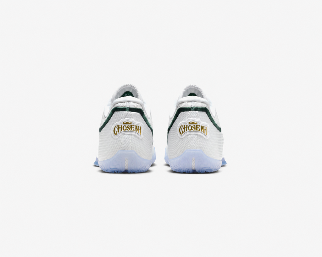 NIKE LEBRON XXIII
