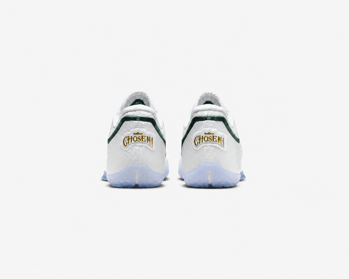 NIKE LEBRON XXIII